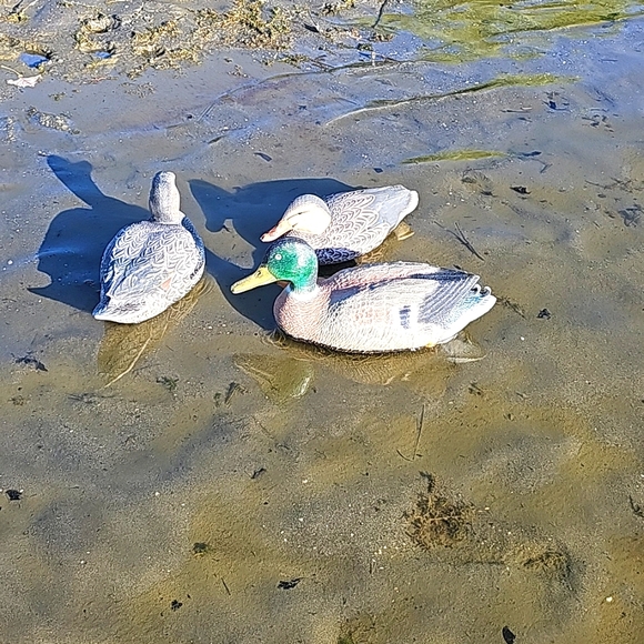Duck decoys, game winners - Picture 4 of 10